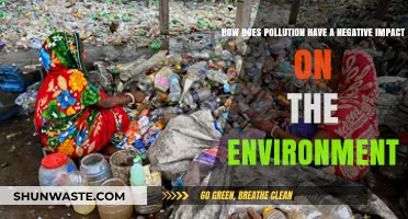Pollution's Harmful Effects on the Environment