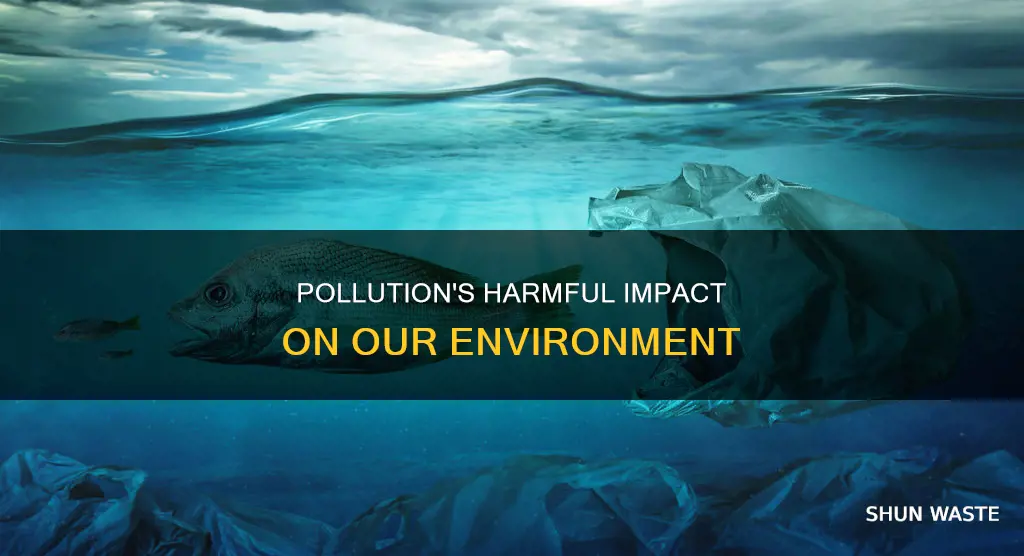 how does pollution hurt the environment