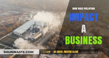 Pollution's Impact: Business Risks and Opportunities
