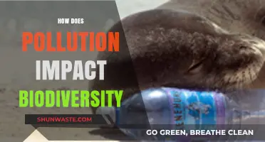 Pollution's Impact: Devastating Biodiversity Loss