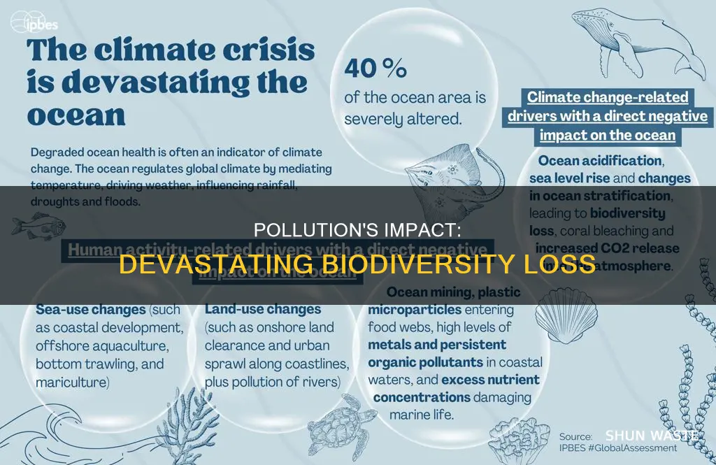 how does pollution impact biodiversity