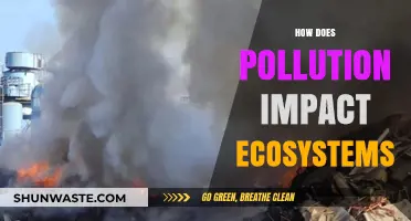 Pollution's Impact: Devastating Effects on Ecosystems