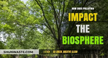 Pollution's Impact: Devastating the Biosphere