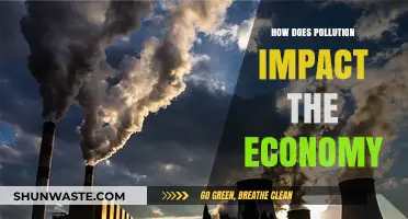 Pollution's Economic Impact: A Costly Affair