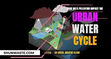 Urban Water Cycle: The Hidden Cost of Pollution