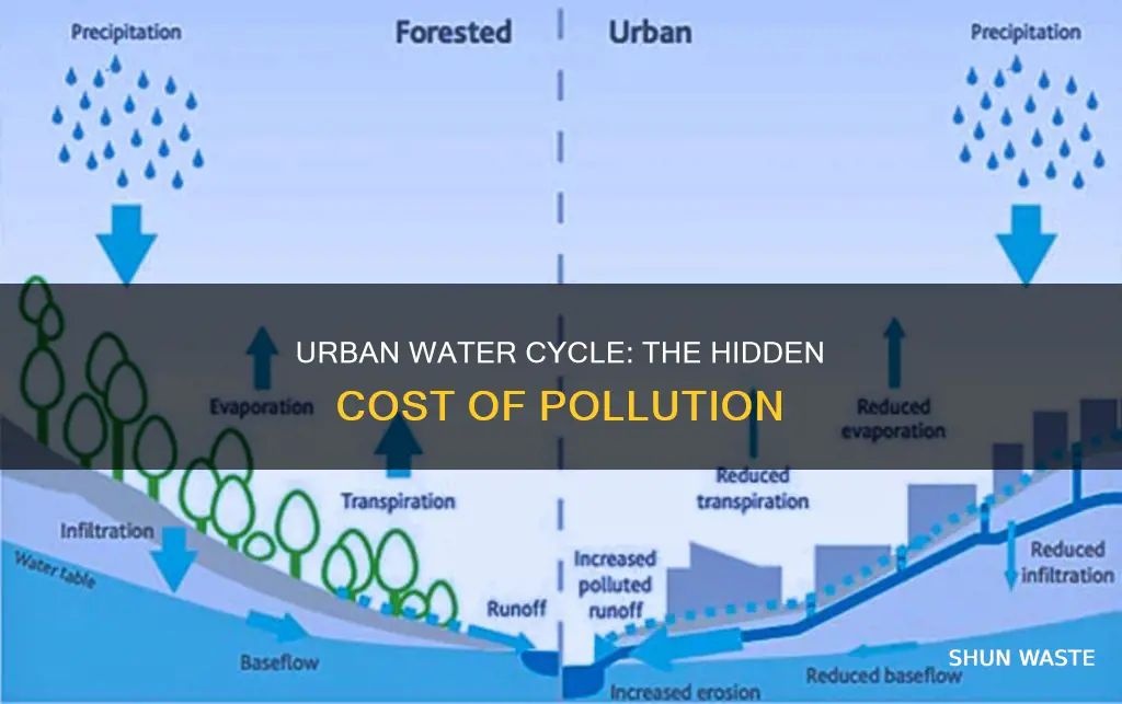 how does pollution impact the urban water cycle