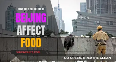 Beijing Pollution: Impact on Food Sources and Safety