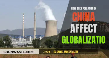 Pollution in China: Impacts on Globalization and the World