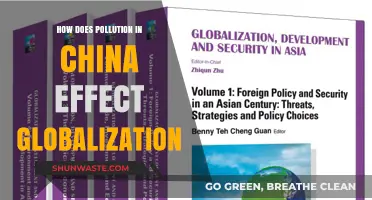 China's Pollution Crisis: Impacting Globalization