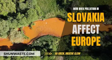 Slovakian Pollution's European Impact: An Overlooked Crisis