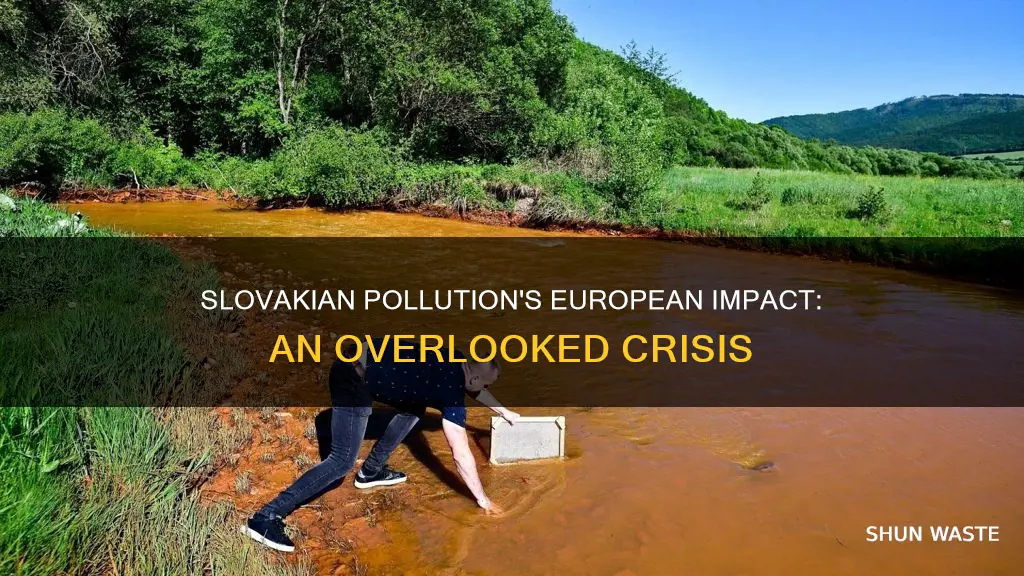 how does pollution in slovakia affect europe