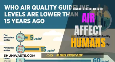 Air Pollution: Harmful Effects on Human Health