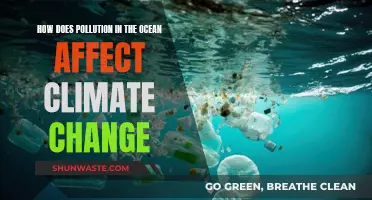 Ocean Pollution's Climate Change Impact: Understanding the Crisis