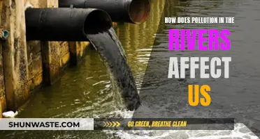 River Pollution: Impacting Our Health and Environment