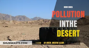 Desert Pollution: Understanding the Devastating Impact