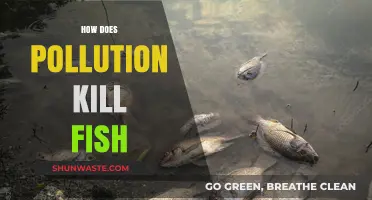 Pollution's Deadly Impact on Fish