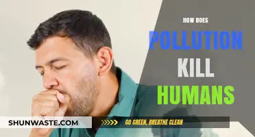 Pollution's Deadly Impact on Humans