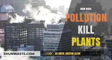 Pollution's Deadly Impact on Plants