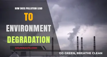 Pollution's Impact: Environmental Degradation Explained