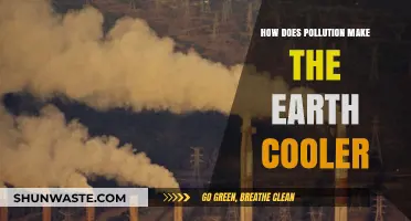 Pollution's Cooling Effect: Earth's Climate Paradox