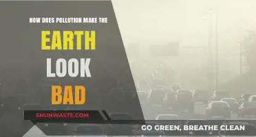 Pollution's Ugly Impact: Earth's Beauty Destroyed