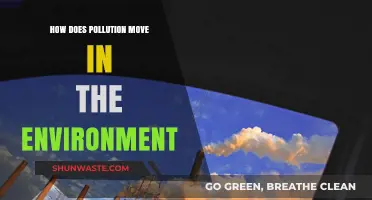 Pollution's Journey: Understanding Its Movement in Nature