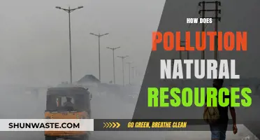 Pollution's Impact: Nature's Resources at Risk