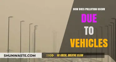 Vehicle Emissions: Understanding the Pollution They Cause