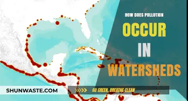 Watershed Pollution: Understanding Sources and Their Impact