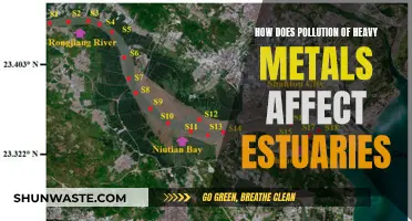 Heavy Metal Pollution: Estuaries in Crisis