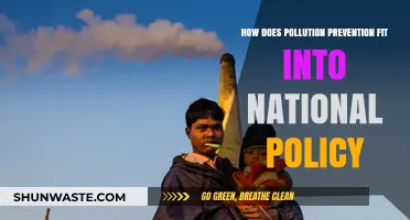 Policy and Pollution: National Strategies for Prevention