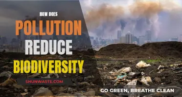 Pollution's Impact: Biodiversity Loss and Degradation