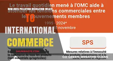Pollution Regulation: Impacting International Commerce and Trade