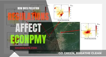 Pollution Regulations: Economic Impact and Environmental Trade-offs