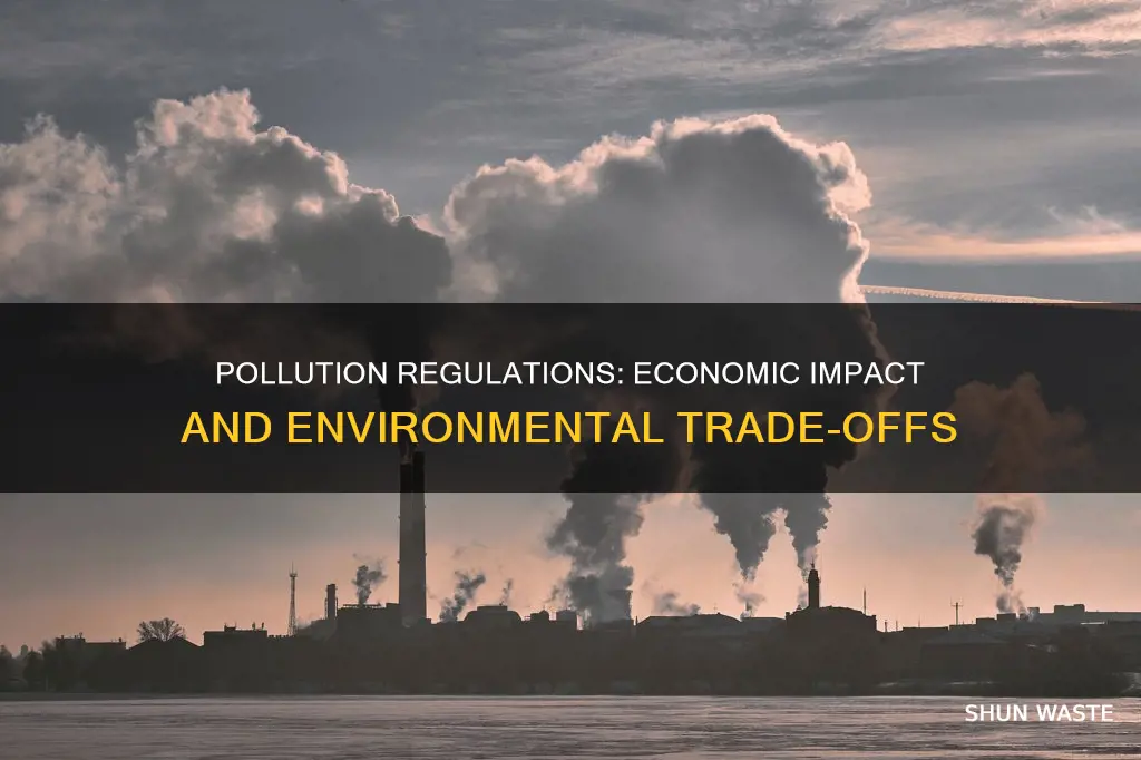 how does pollution regulations affect econpmy