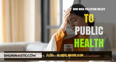 Pollution's Impact: Public Health and Its Dangers