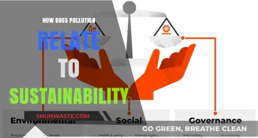 Pollution's Impact: Sustainability's Bane
