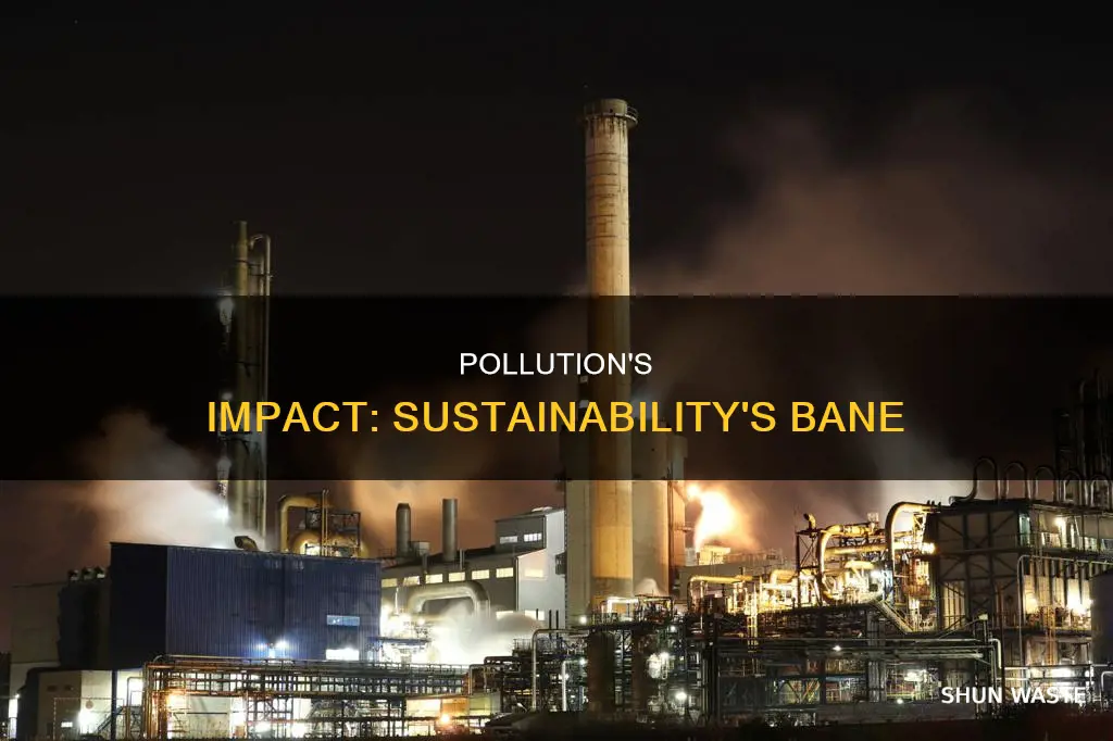 how does pollution relate to sustainability