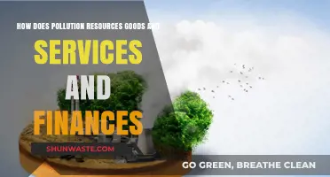 Pollution's Impact: Resources, Goods, Services, and Finances