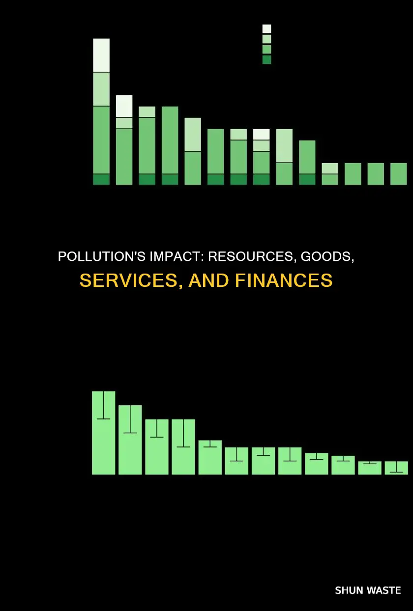 how does pollution resources goods and services and finances