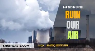 Pollution's Impact: Ruining Our Air, Our Health