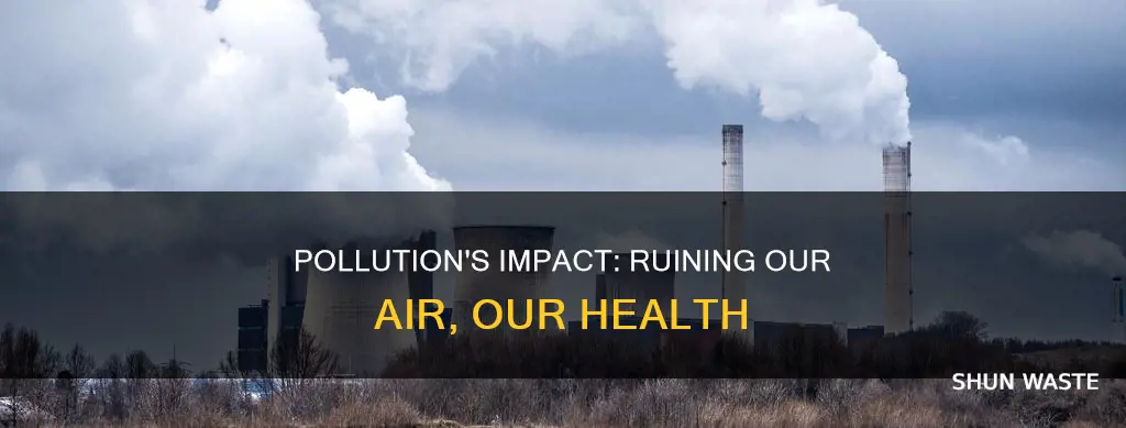 how does pollution ruin our air