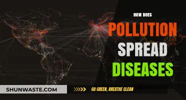 Pollution's Role in Spreading Diseases and Sickness
