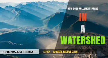 Pollution's Journey: Spreading in Watersheds