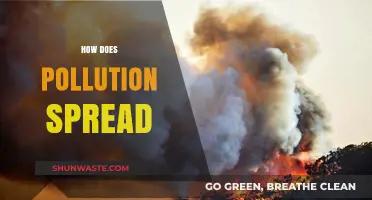 The Pollution Spread: Understanding the Reach and Impact