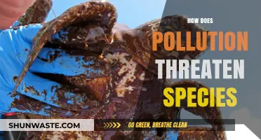 Pollution's Threat: Species Extinction and Ecosystem Collapse