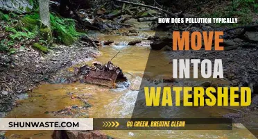 Sources and Movement of Pollution in Watersheds