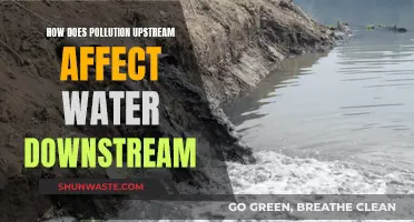 Pollution's Reach: Upstream's Impact on Downstream Water Quality