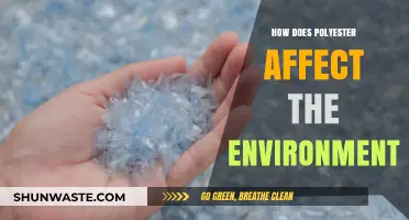 Polyester's Environmental Impact: Pollution, Sustainability, and Eco-Friendly Alternatives