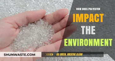 Polyester's Environmental Impact: Pollution, Sustainability, and Eco-Friendly Alternatives